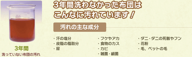 3年間洗わなかった布団はこんなに汚れています！