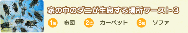 家の中のダニが生息する場所ワースト3