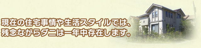 現在の住宅事情や生活スタイルでは、残念ながらダニは一年中存在します。